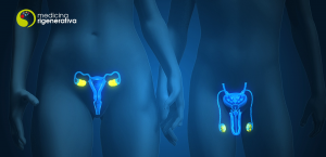 Medicina Rigenerativa – stampa