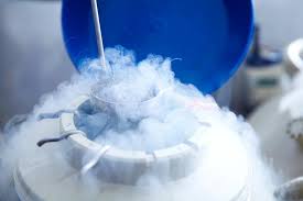 SOCIAL FREEZING