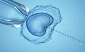3d rendered medically accurate illustration of an invitro fertilization